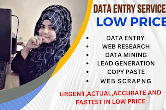 do absolute and fastest data entry in low price