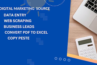 do perfect data entry , convert PDF to excel, web scarping,