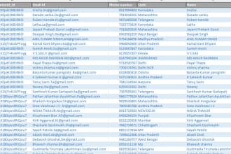 help in  data entry,excel expert, formulas, pivot tables