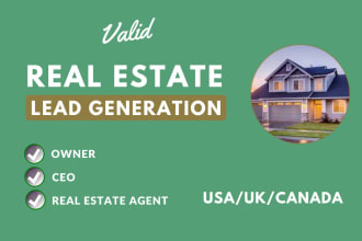 do real estate agent, CEO, b2b, linkedin lead, USA, UK, canada