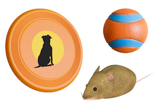 create 3d dog, cat, pet toys