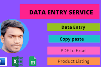 do excel data entry, PDF to excel, copy paste work