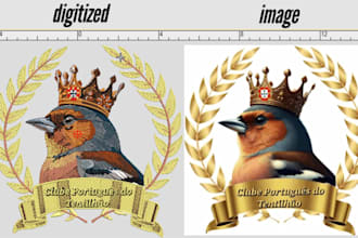 digitize image for embroidery digitizing design files