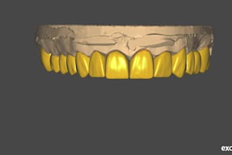design anatomical mono, cutback and implant teeths