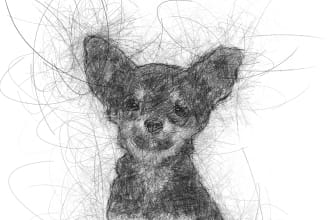 draw a sketch portrait of your pet dog, cat