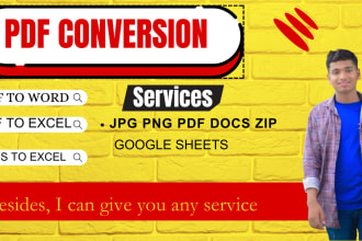 pdf conversation ,data entry, file convert in 5 hours