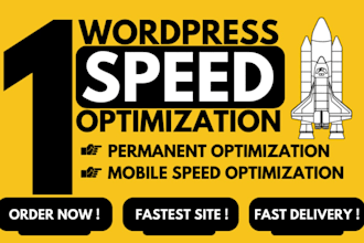 speed up wordpress website for google page insights