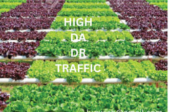 guest post on organic farming