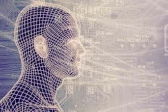 do image processing projects like filters and analysis