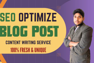 be your SEO website blog post content writer