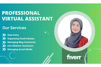 do virtual assistant, data entry for your business