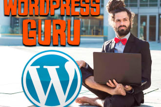 install wordpress  premium theme and plugins fix and transfer