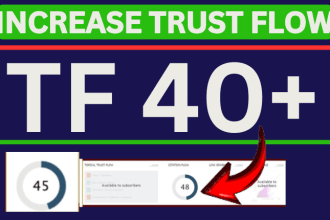 increase tf trust flow 40 plus majestic tf cf with high quality seo backlinks