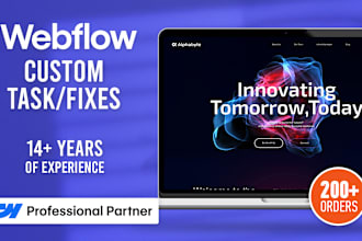 make any fix to your webflow website