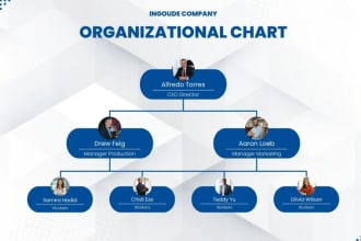 design a professional org or flow chart in canva