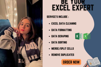 be expert in excel graphs, pivot table, formulas, data cleaning, dashboard