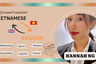 translate vietnamese to english or eng to vn professionally