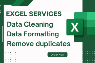do excel data cleaning and formatting