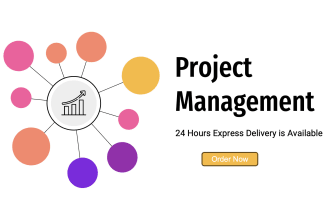 do anything in project management