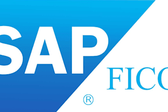 solve sap fico certified consultant
