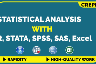 do statistical data analysis using python, excel, r, spss