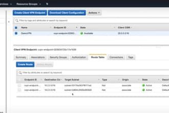 configure AWS client VPN for secure access to vpc