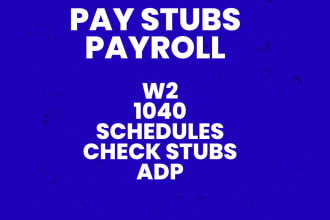 create adp pay stubs and paycheck document for contractors or employer
