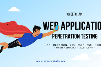 professional penetration testing on your web application