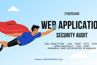 perform application security audit