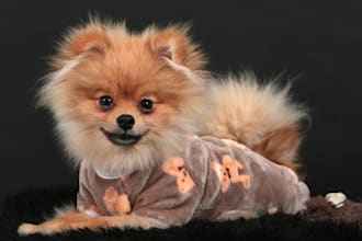 have my dog model your dog products