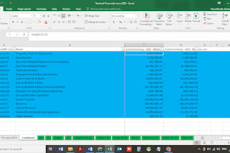 prepare your financial statements, create report and excel template