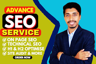 complete wordpress on page SEO with technical analysis for your site