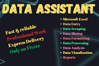 do ms excel data cleaning, formatting and fastest data entry