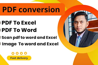 do expert PDF conversion to word and excel, services