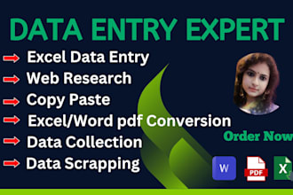 do excel data entry copy paste job typing work web research and data conversion