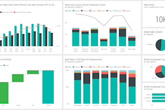 create professional dashboards and reports in power bi
