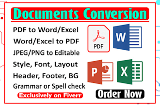 expert file PDF to word,excel,powerpoint conversion services