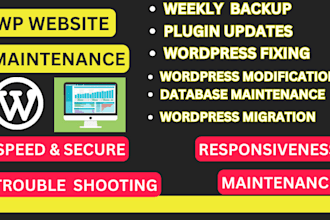 do wordpress maintenance, website update and support for you