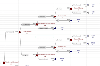 perform decision tree analysis, precision tree, silver decisions