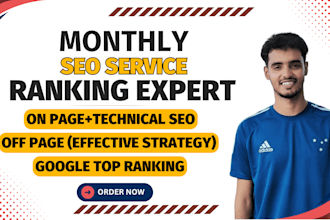 provide monthly SEO package for google top ranking