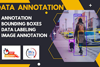 do professional data annotation, image annotation, data labelling