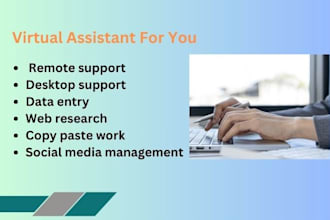 be your professional virtual assistant for data entry