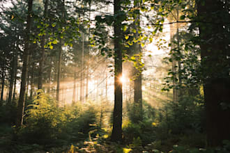 help you find relief and heal from chronic pain