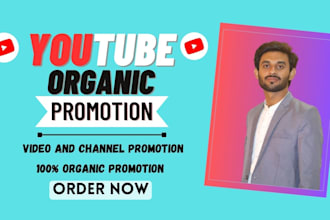 do organic youtube promotion for your video and channal