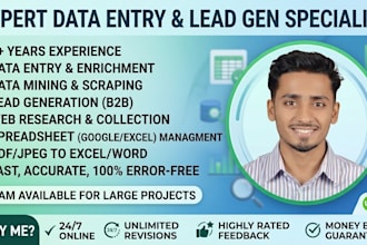 do efficient data entry and data enrichment with admin assistance