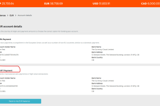integrate currency cloud API on your fintech application