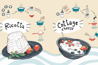 hand draw food, cookbook and menu illustrations
