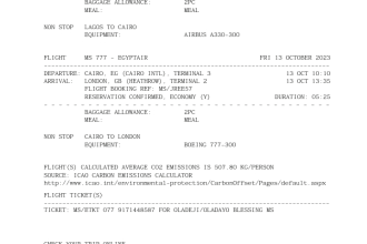 do flight ticket reservations for local, intl, siti, sito and soto