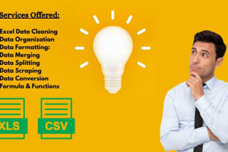 perform ms excel data cleaning and data entry services