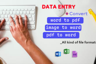 do data entry, copy paste, business virtual assistant, file conversion job